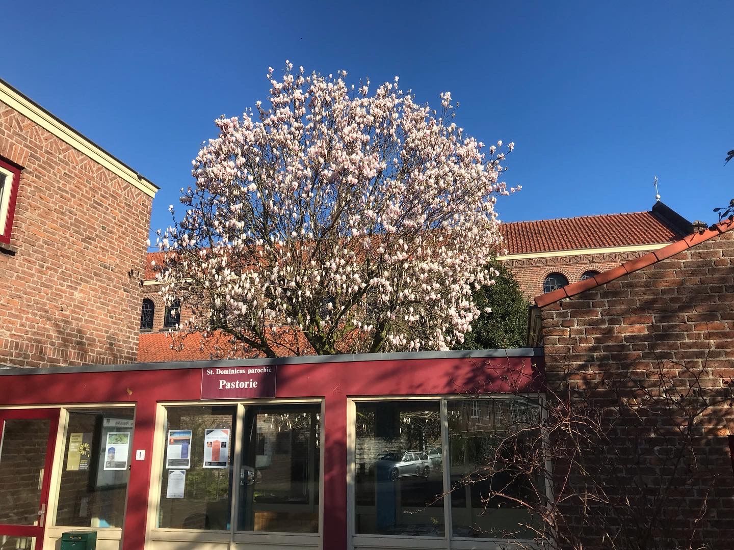 maandelijkse seniorenmiddag Oog in Al