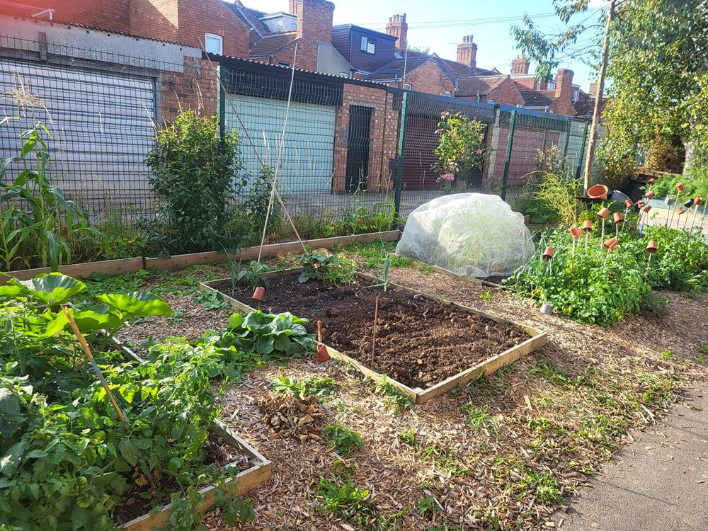 Community Garden Co-ordinator volunteer