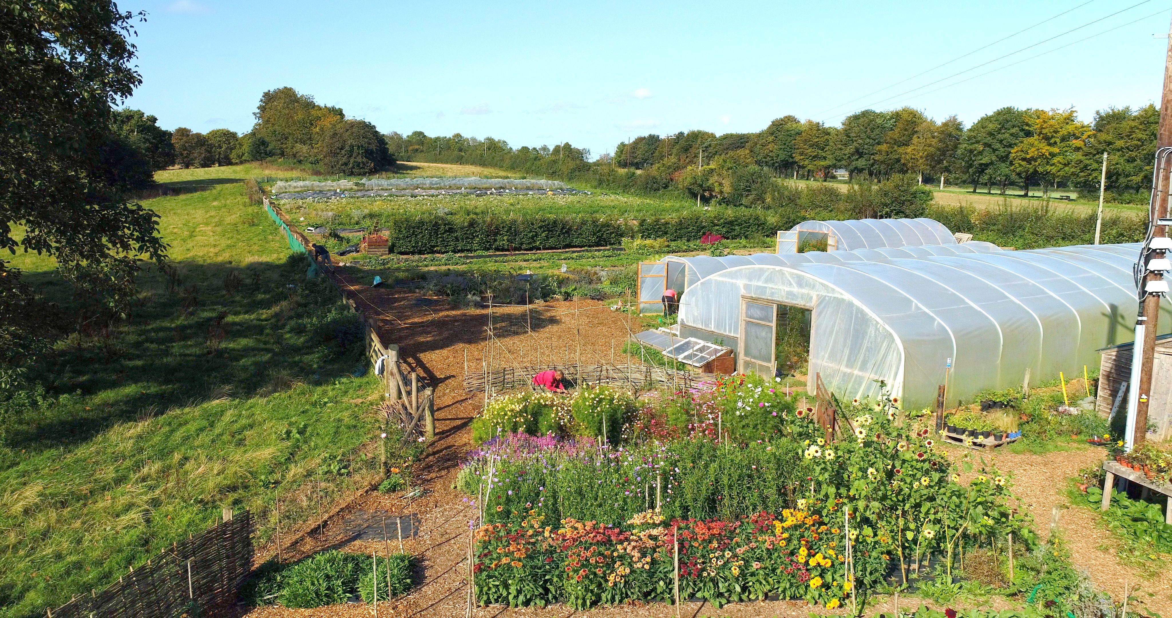 Helping hands in the garden