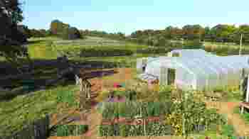 Helping hands in the garden