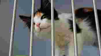 Lost and Found Manager