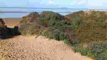 Team Countryside Ranger - Berrow Dunes