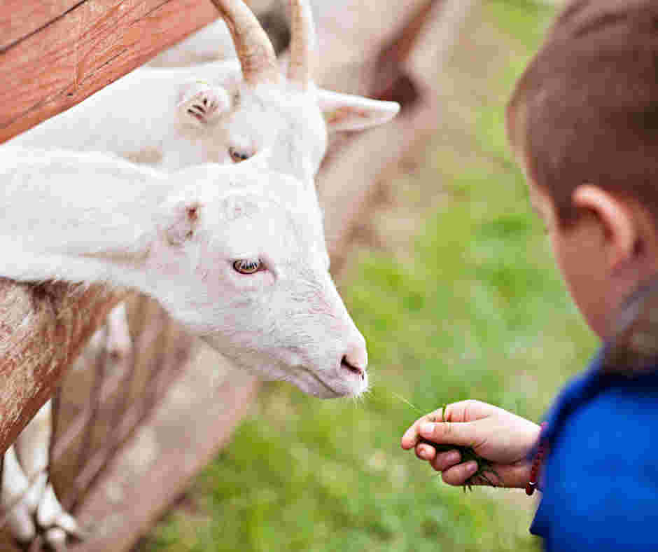 Samen op pad met een leuke peuter