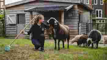 Dierenverzorger en gastheer/vrouw