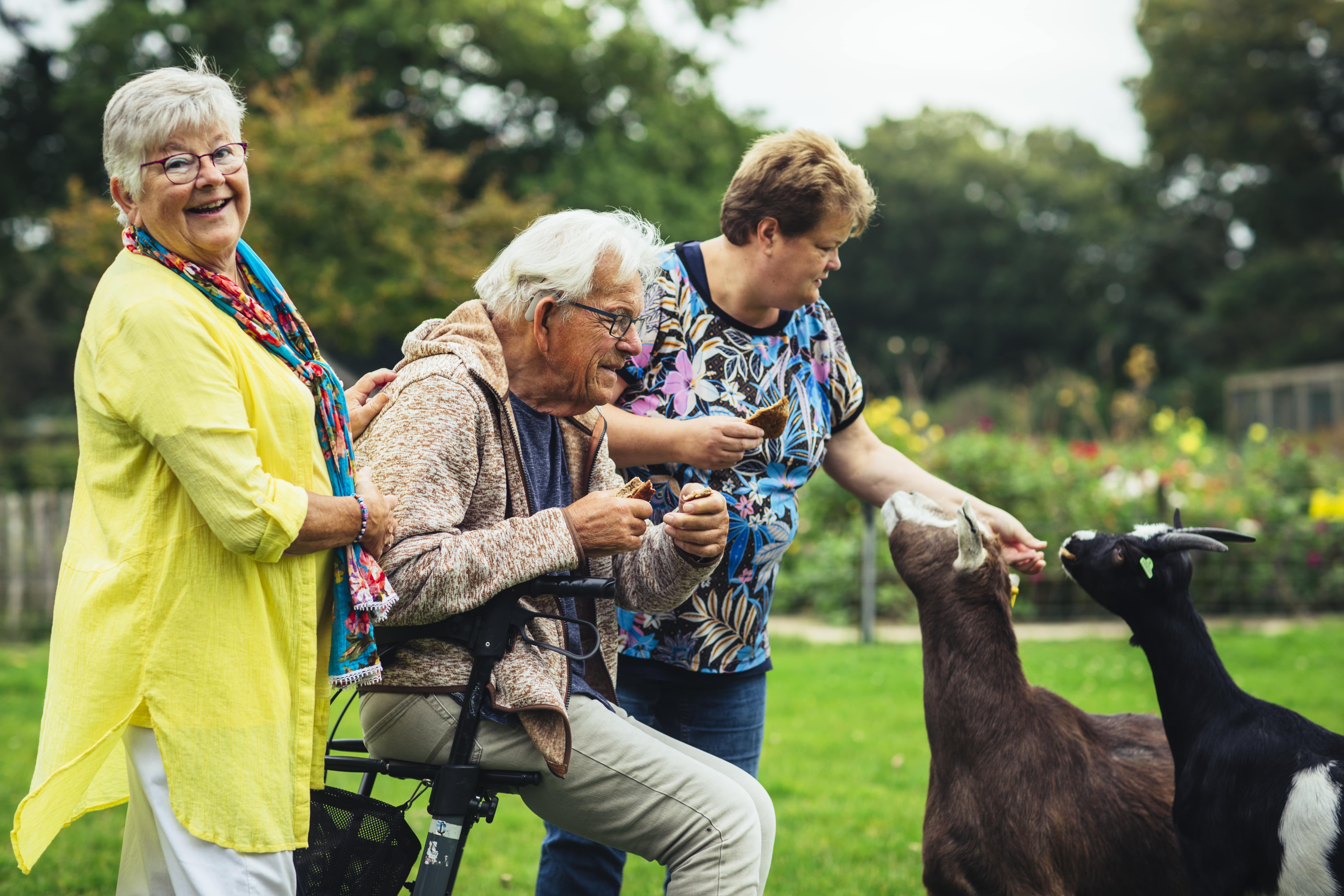 Vrijwilliger dagbesteding ouderen