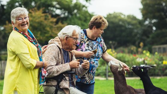 vrijwilligerswerk zorgboederij ouderen