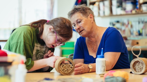 vrijwilliger Zideris