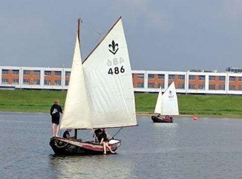 Lintstage bij de Zeeverkenners of Wilde vaart
