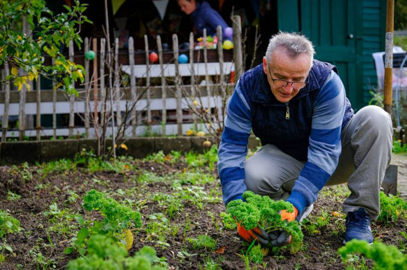 Moestuinvrijwilligers gezocht