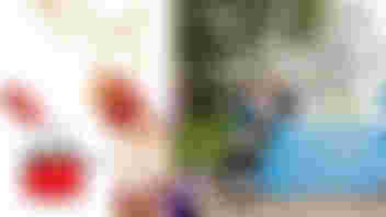 Come and meet local volunteer organizations during "Together for Loosduinen" event on Saturday 13 November! Together for Loosduinen On Saturday 13 November from 13.00 – 16.00 there is a fun and varied program at Ockenburgh for interested residents of Loosduinen and the volunteers of the various Loosduin organizations. The program – Meeting and Inspiration You are welcome on the beautiful grounds of Villa Ockenburgh. If you have never been, this is already worth it! You are welcome from 13:00. Alderman Hilbert Bredemeijer opens at 13:30 the event in the greenhouse. From 14:00, the various organizations will give a short pitch. At different locations: fun sports and games activities. In the courtyard you will see nice colorful stalls, where you can get acquainted with the different organizations. The stall is also located here to pick up the free Goodie bag. Various organizations are also present in the building next door (called the Foyer). But you can also do a nice workshop Art and Painting. And a live broadcast of Zorgradio is going on. And there are performances by the Willy Caron Muziektheater. In the Theaterzaal there will be a Vlogging Workshop by Michel Rogier from 14:00 to 15:00. There are also two fun workshops with music from Popradar. There are also all kinds of sports and games activities on the sports field next door. And of course you can participate in the Jeu de Boules, and get to know the Shooting Club and the animals of the Nijkamphoeve. Are you an interested resident of Loosduinen? Then come! You can get acquainted with the various social organizations from Loosduinen. Let yourself be surprised and inspired. It's nice to know what's going on in your neighborhood. But this cannot be done without volunteers. Many of the organizations would not exist without volunteers. Think of the many sports clubs, scouting, residents' organizations, culture, etc.