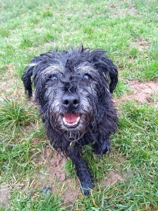 Reception & Administration Volunteer