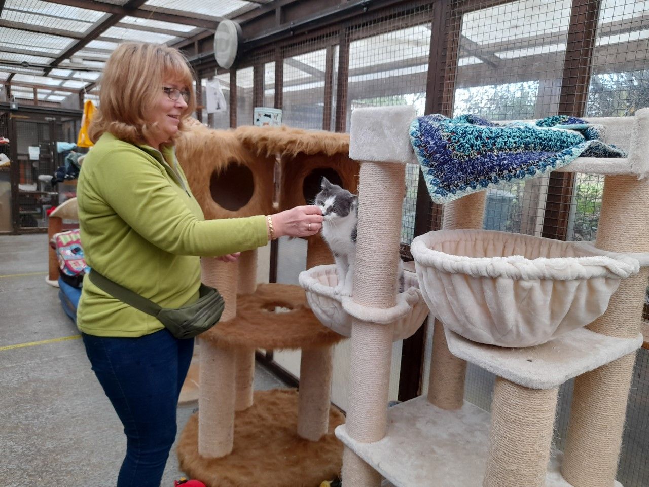 Cattery & Small Animal Cleaning & Enrichment