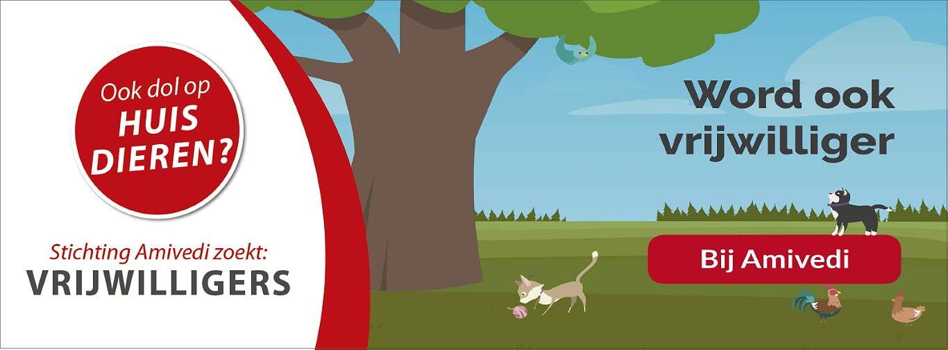 Administrators for our hotlines (National)