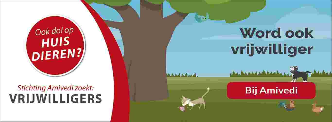 Beheerders voor onze meldpunten (Landelijk)