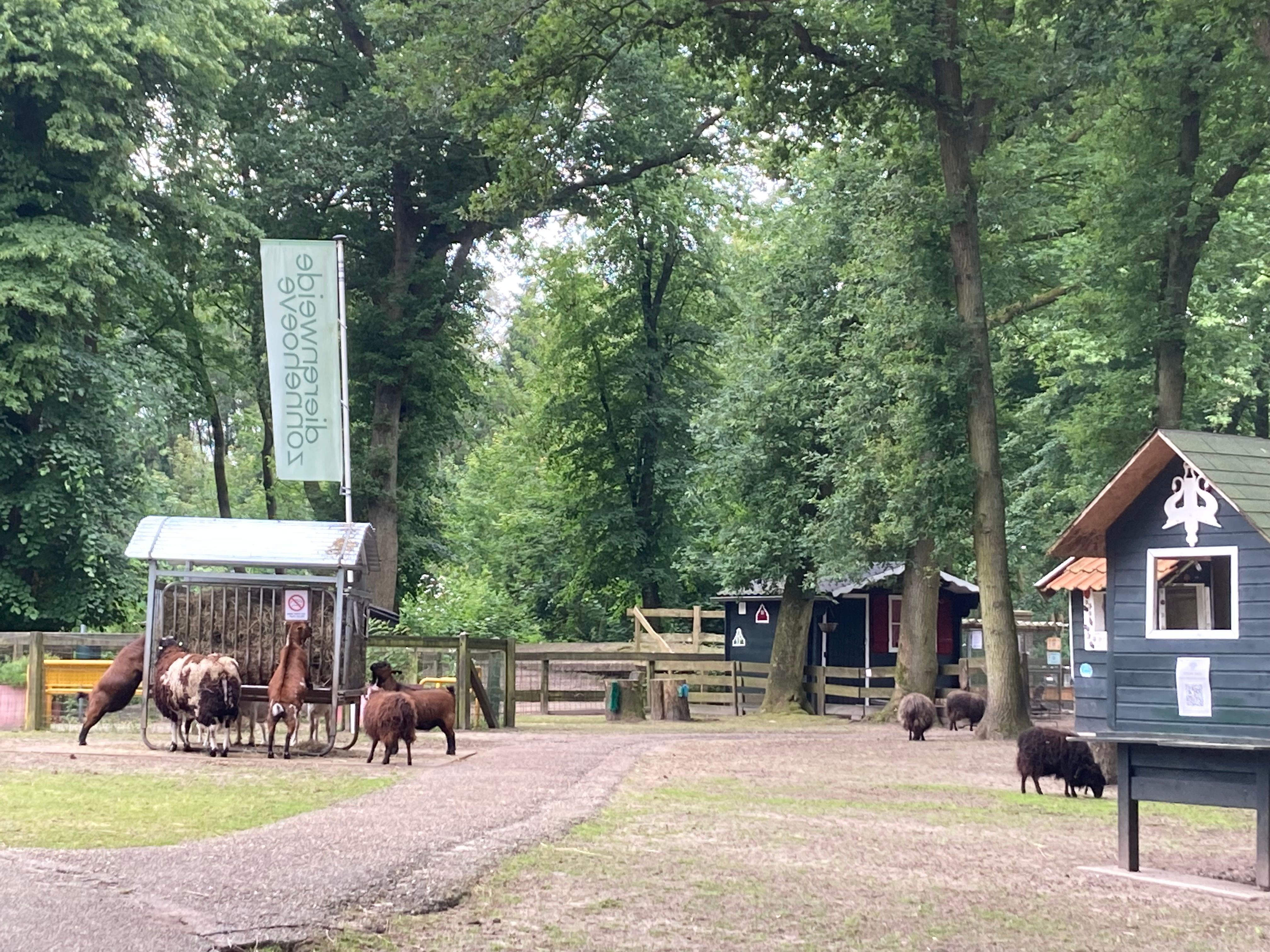 DIEREN VERZORGEN SAMEN MET EEN FIJN TEAM