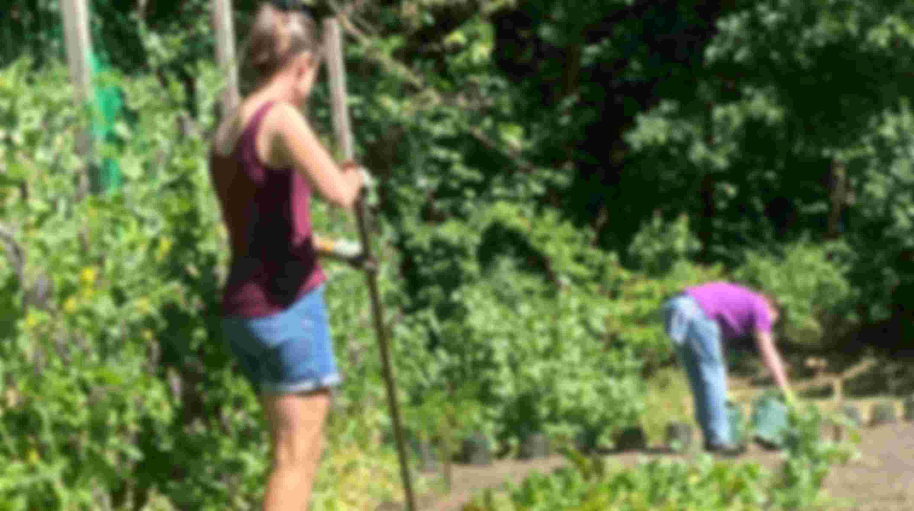 Meehelpen in de gezamenlijke moestuin
