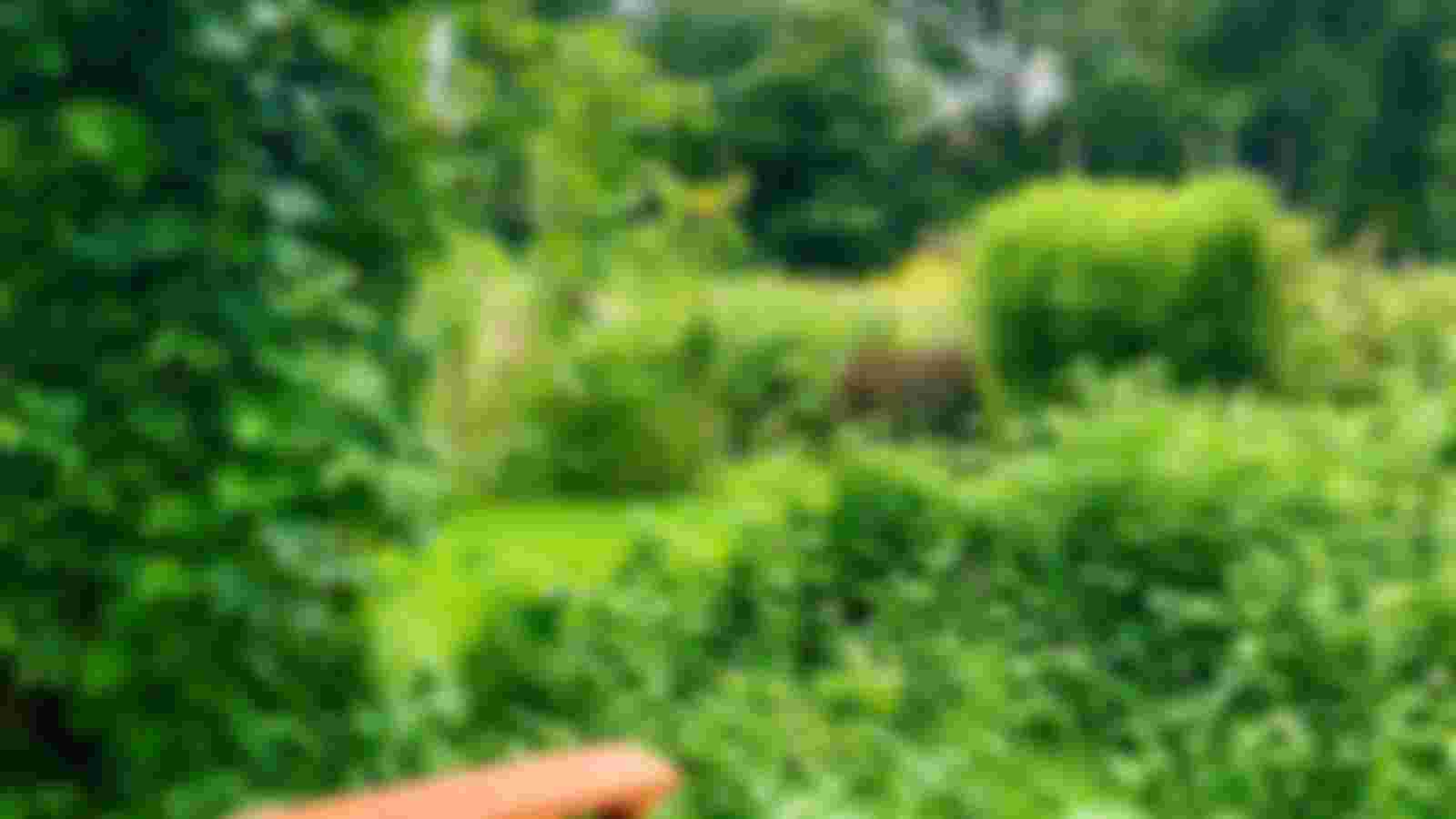 Help mee in de tuin bij Stadstuin Klopvaart