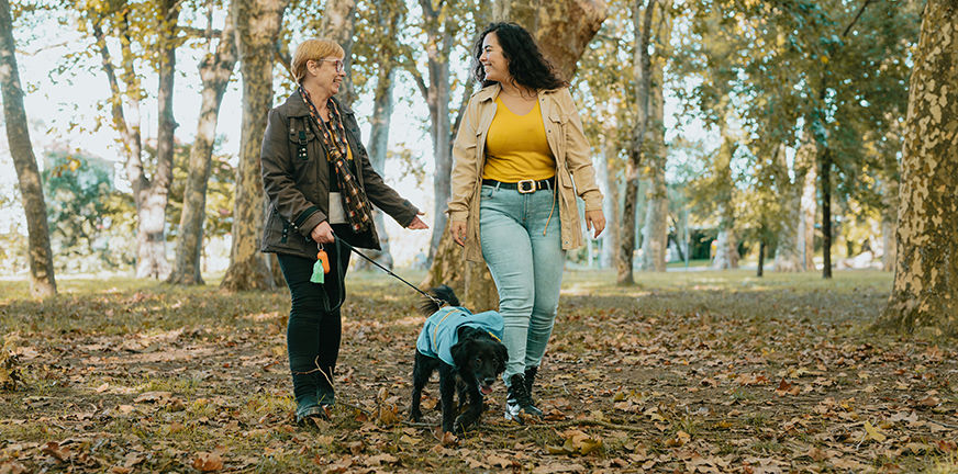 Kleine wandeling maken met inwoner Lochem en zijn hondje.