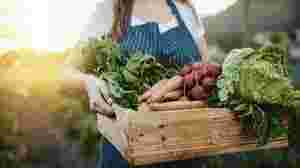 Samen boontjes planten