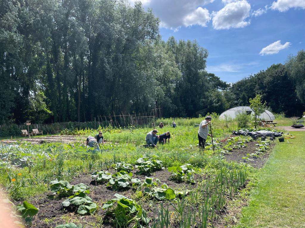 Meewerken in de gezamenlijke moestuin.