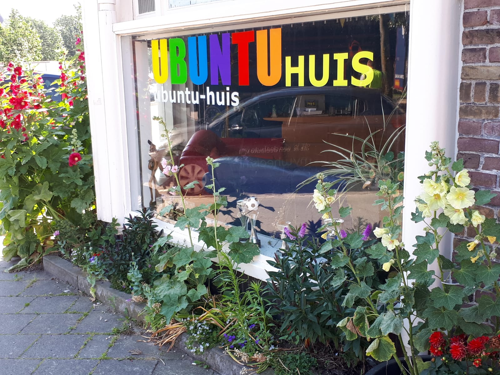 Beheerder/ster computernetwerk