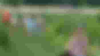 Help picking cash register (hours in consultation May-Nov)