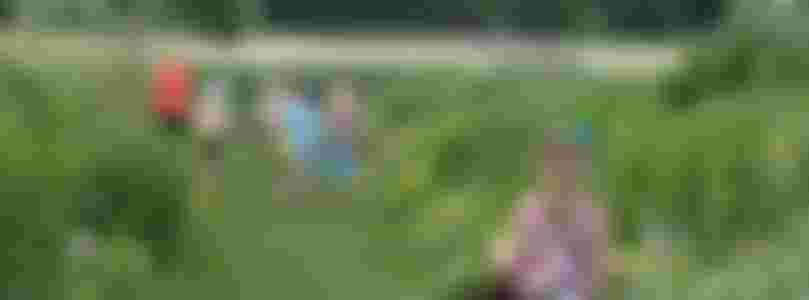 Hulp kassa plukken (uren in overleg mei-nov)