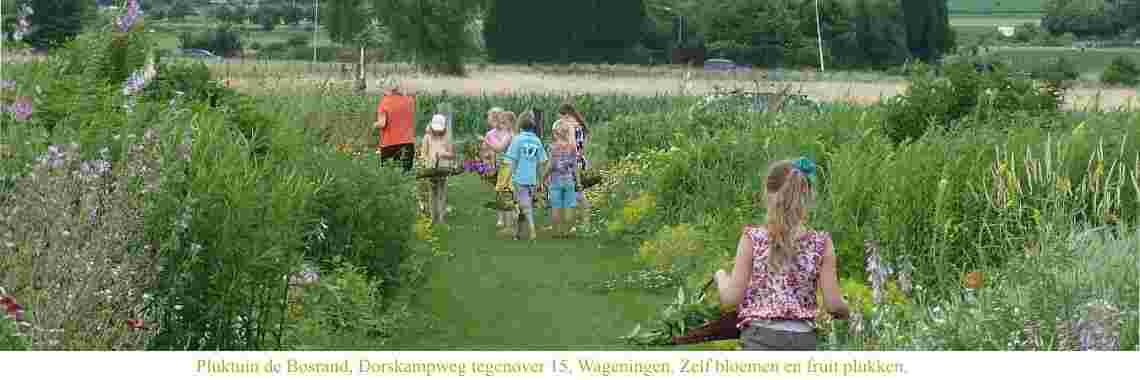 Assistance with flower arranging workshop