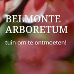 Belmonte arboretum Wageningen