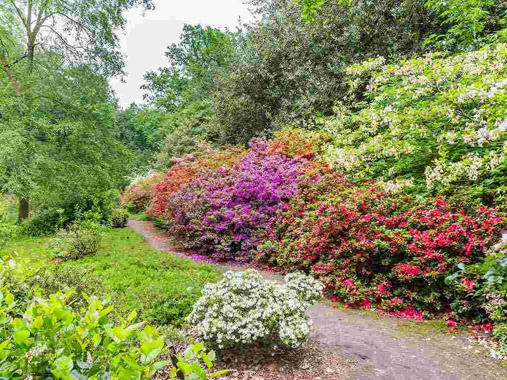 Belmonte arboretum Wageningen