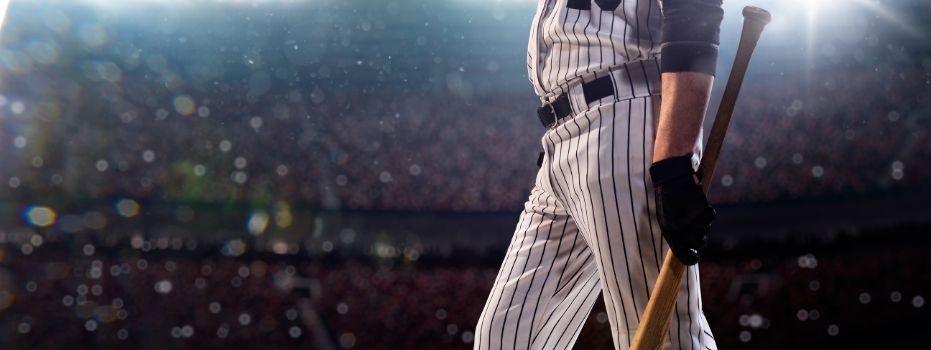 Storks Haagse Honk- en Softbalvereniging