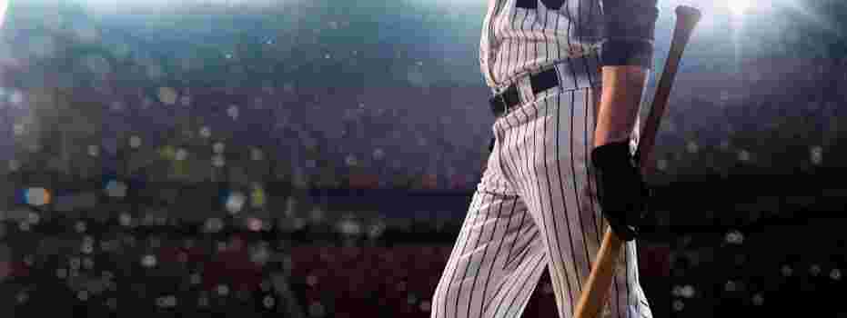 Storks Haagse Honk- en Softbalvereniging