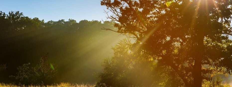 Stichting Ontmoetingscentrum Morgenstond