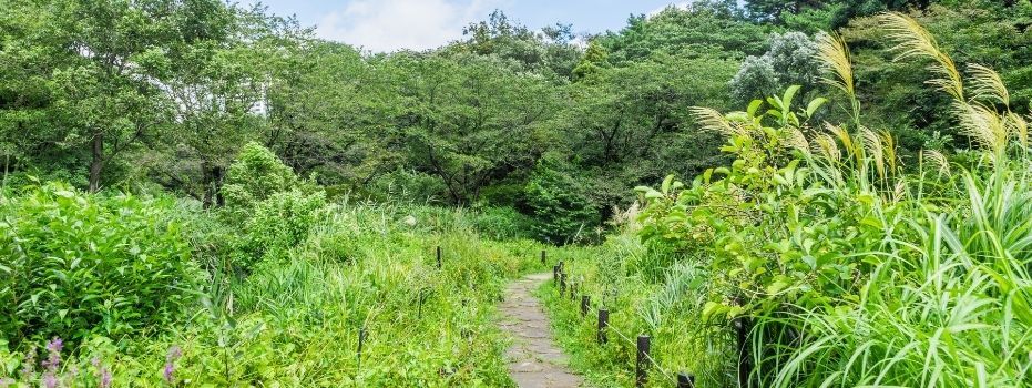 IVN Den Haag en omstreken