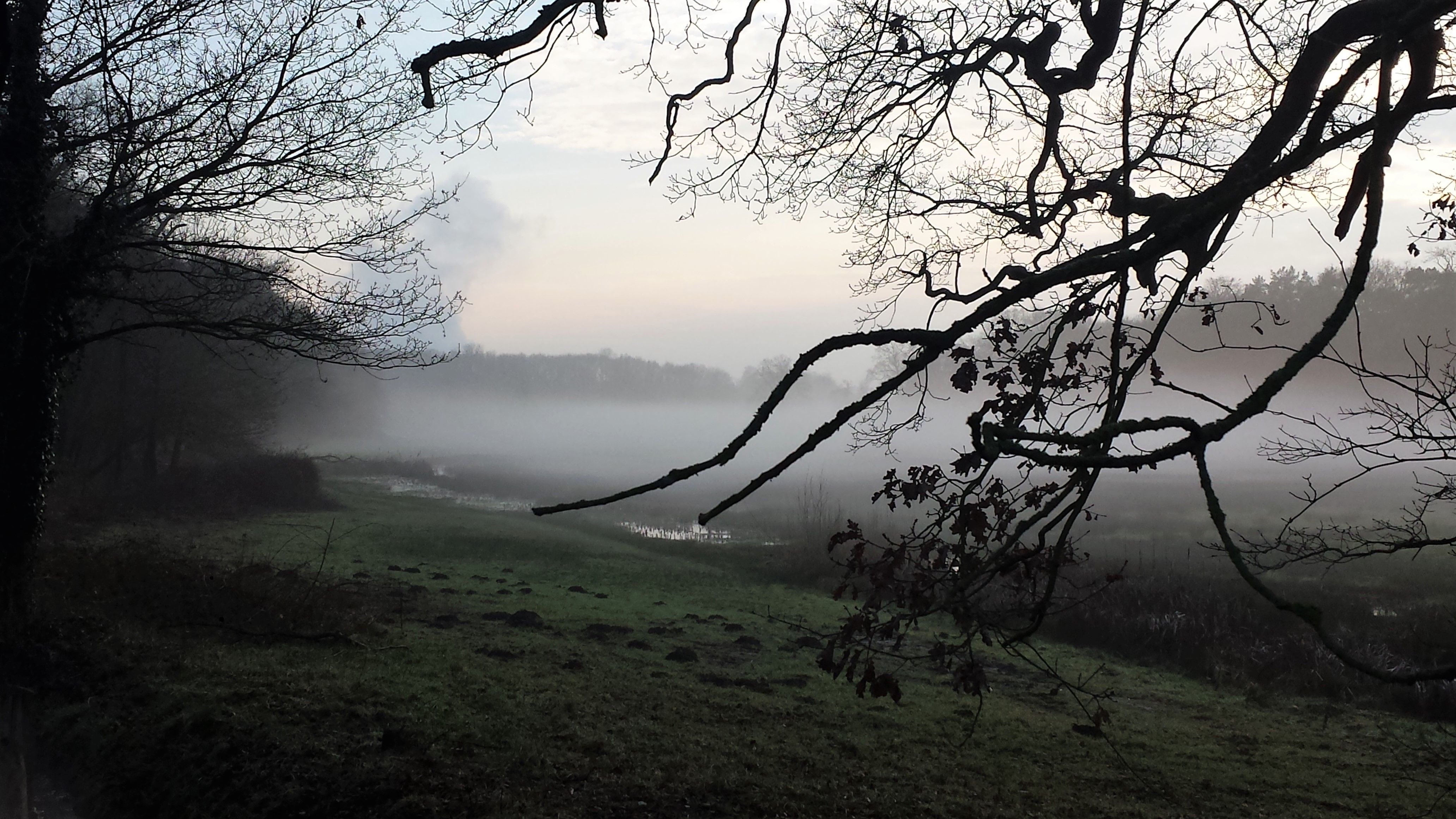 Stichting Renkums Beekdal