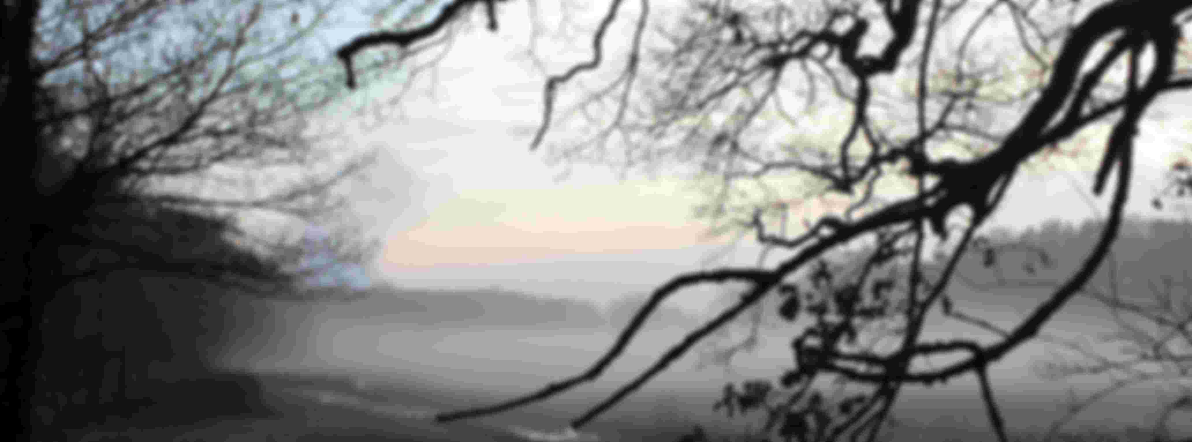 Volunteer Communications wanted