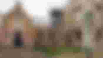 Word jij onderdeel van 'Team Groen' op Scheveningen?