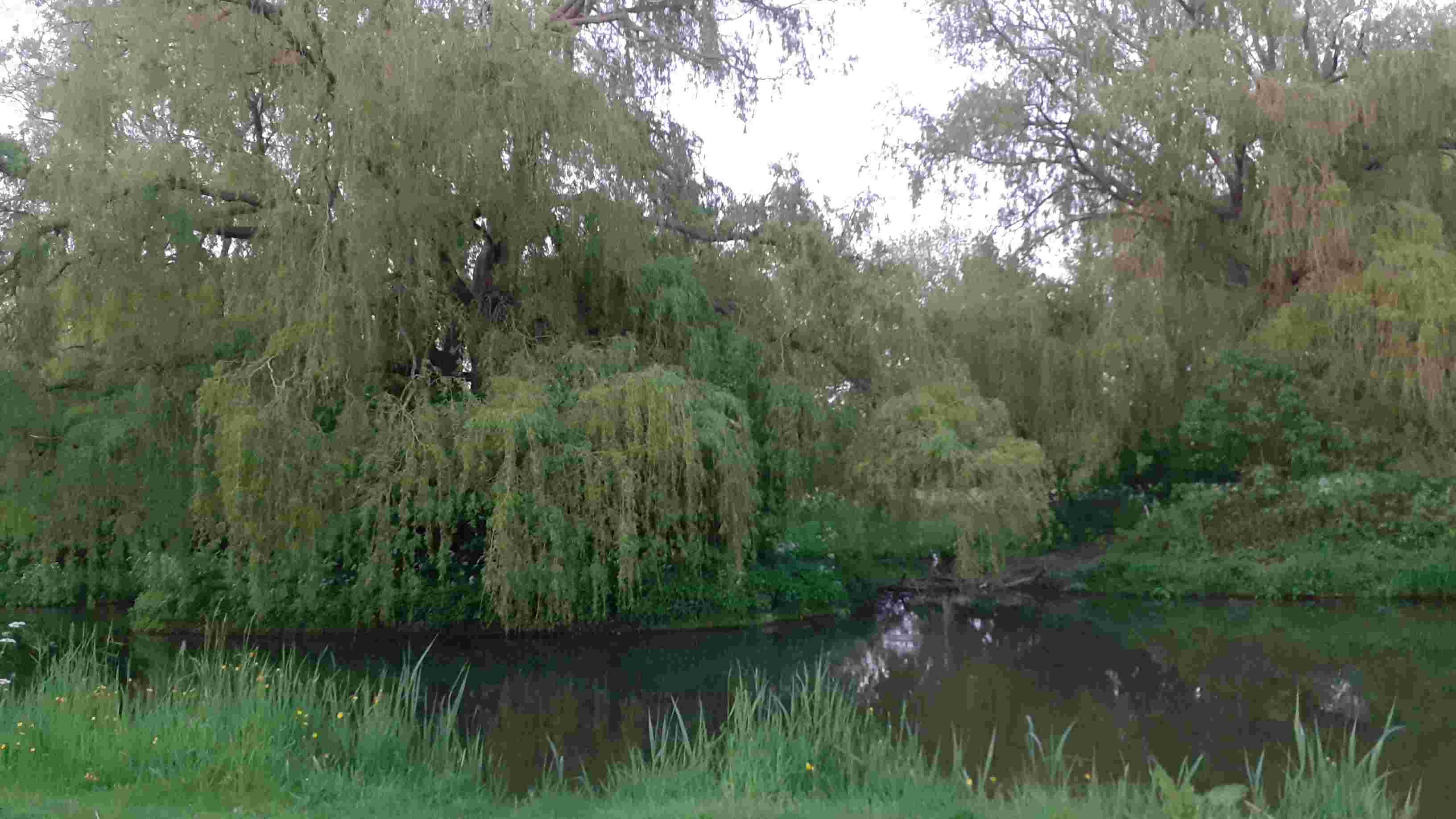 stichting Kindgericht Werken