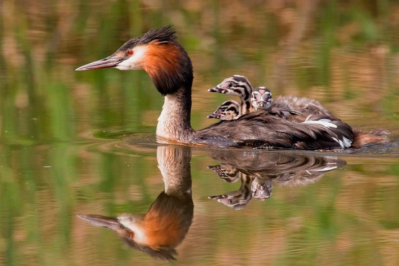 Workshop | How do I find volunteer work that suits me?