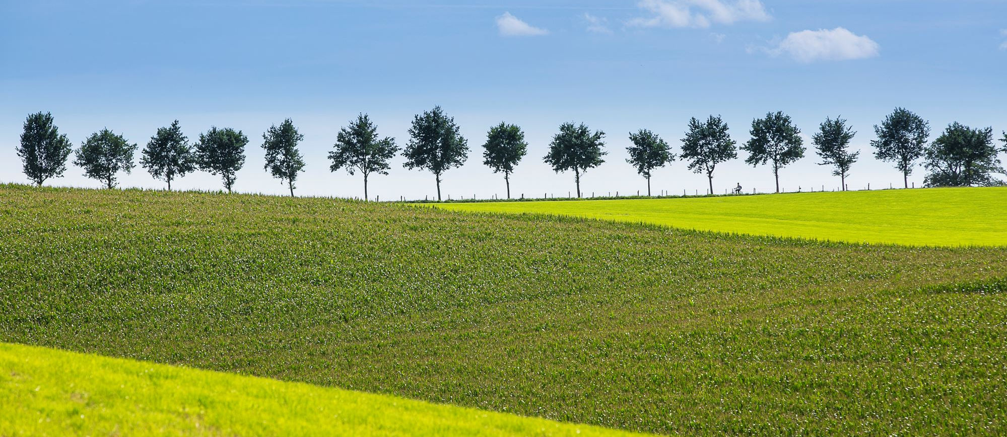 Landschap in Limburg