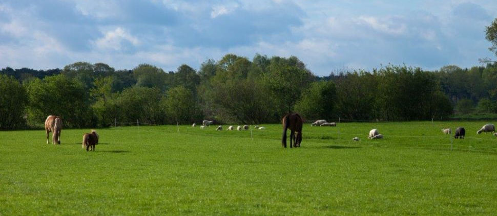 Zorgboerderij Weidezicht