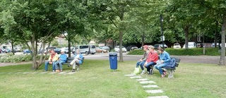 Stichting de Vrijbuiter