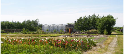 Zorgtuinderij Buitenkans