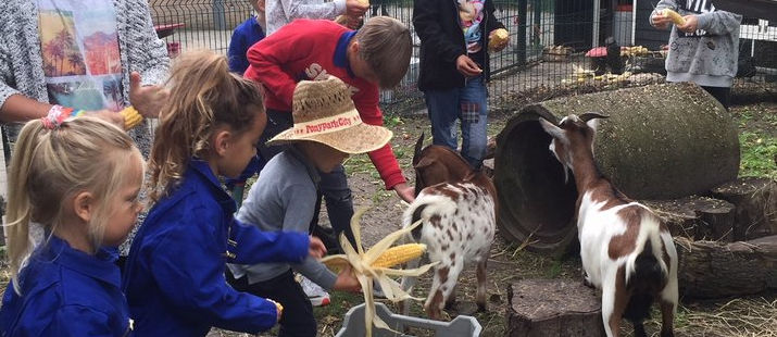 Miniboerderij Willem-Alexanderschool