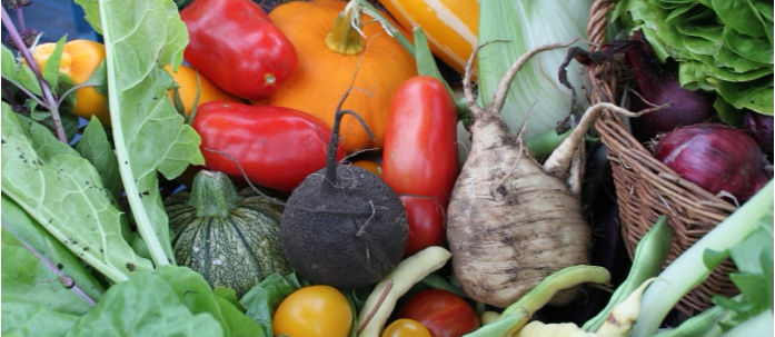 Stichting Vrienden Stadstuin Helmond