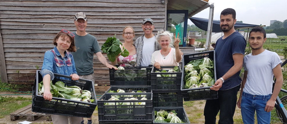 Stadslandbouw Mooieweg