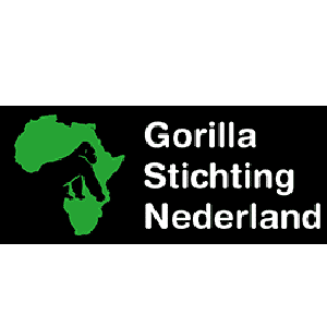 Gorilla Stichting Nederland
