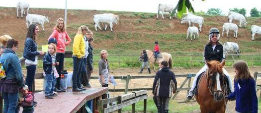 Zorgboerderij Asselterhof