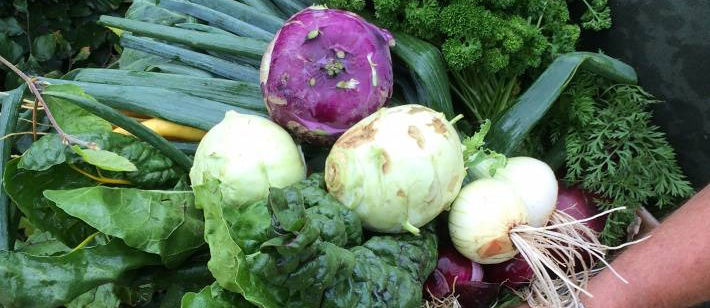 Stichting Vergeten Groenten 