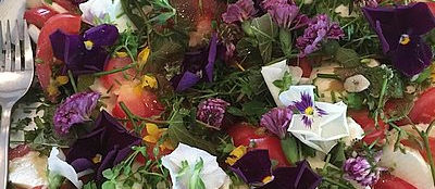 Groei & Bloei Utrecht